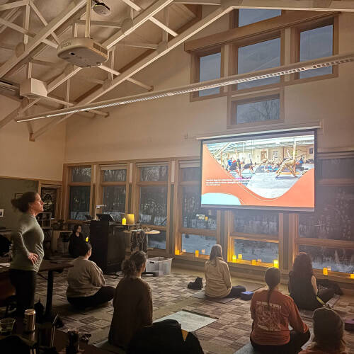 Educators Practicing Yoga
